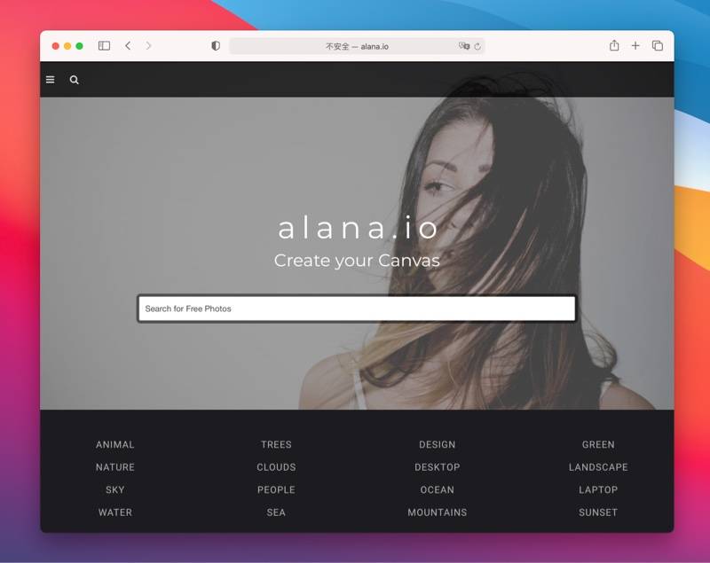 alana.io 网站首页
