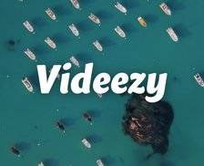 Videezy - 提供高质量设计素材、4K视频素材下载的网站，大部分都可以免费商用