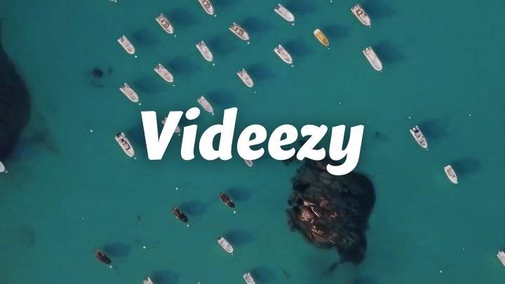 Videezy - 提供高质量设计素材、4K视频素材下载的网站，大部分都可以免费商用