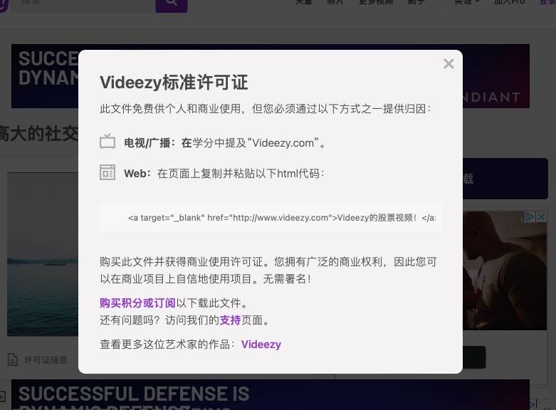 videezy 素材许可证