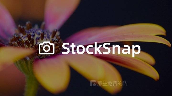 StockSnap - 类目丰富、漂亮高清的免费商用图库网站，无版权风险，图片精美，访问稳定