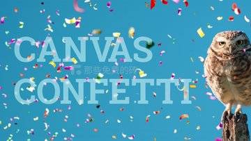 Canvas Confetti - 免费开源的五彩纸屑飞舞特效的 JS 库，多用于在网页上实现欢乐庆祝的场景