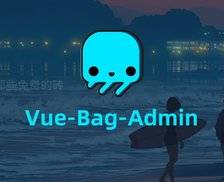 Vue-Bag-Admin  采用漂亮的 Naive UI 构建的开源中后台系统，基于 Vue3 / Vite / TypeScript 等最新的前端技术栈