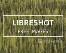 LibreShot - 小众的摄影照片下载网站，所有照片基于 CC0 协议，可免费商用