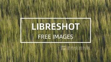 LibreShot - 小众的摄影照片下载网站，所有照片基于 CC0 协议，可免费商用