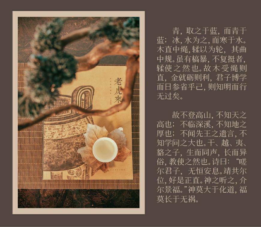 飞花宋体-海报