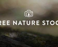 Free Nature Stock - 专注自然风光的免费高清图片和短视频素材站，CC0 授权可商用
