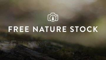 Free Nature Stock - 专注自然风光的免费高清图片和短视频素材站，CC0 授权可商用