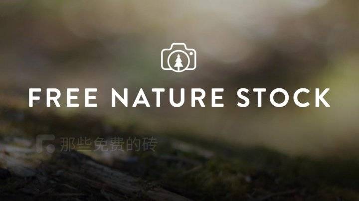 Free Nature Stock - 专注自然风光的免费高清图片和短视频素材站，CC0 授权可商用